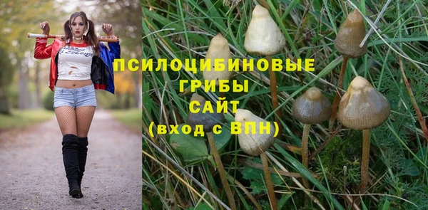 первитин Верея